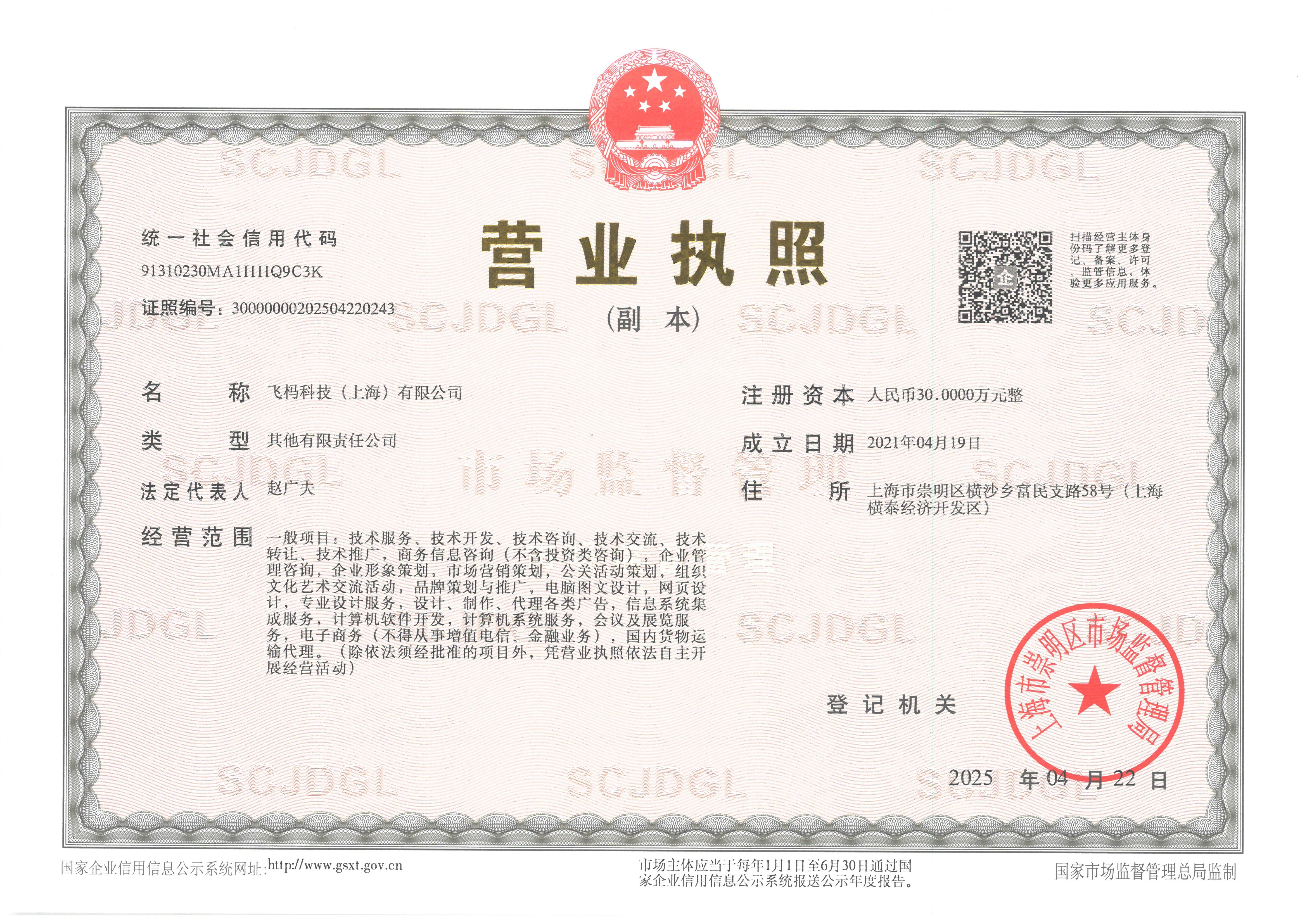 飛榪科技（上海）有限公司